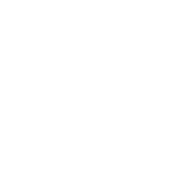 NoBullShit_Logo_32_300ppi